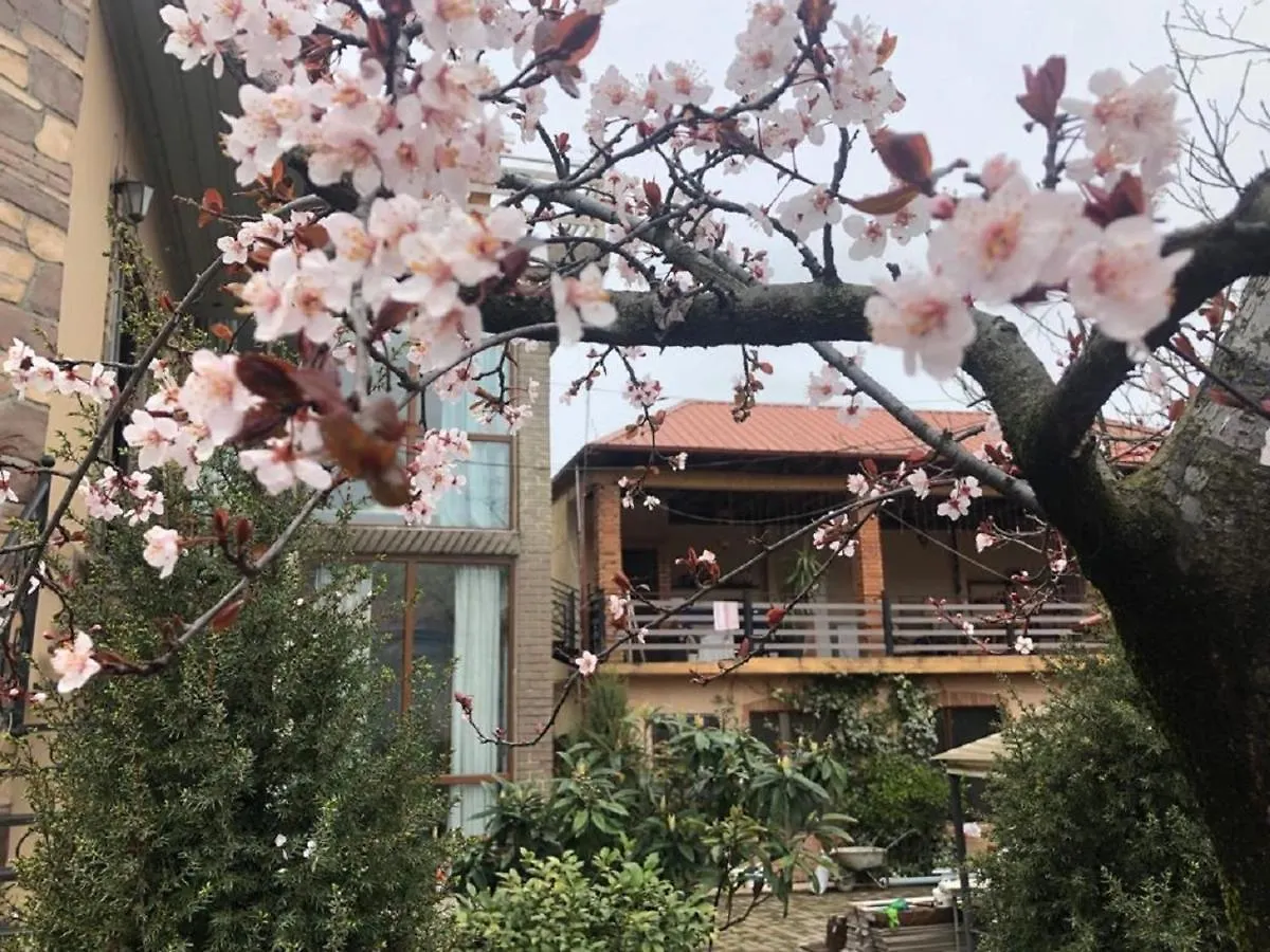Batumi Wonderland Ξενοδοχείο