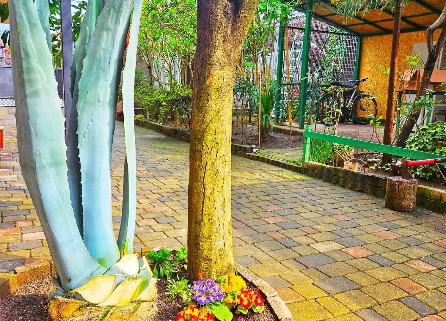 Batumi Wonderland Ξενοδοχείο Πανσιόν